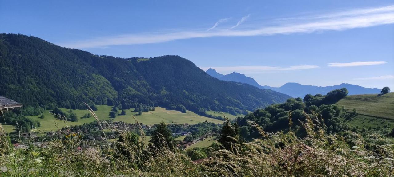 Appartement T2 A Bernex Avec Wifi, Vue Sur Montagne Exterior foto